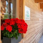 Haus Fernwald Daire Alpbach